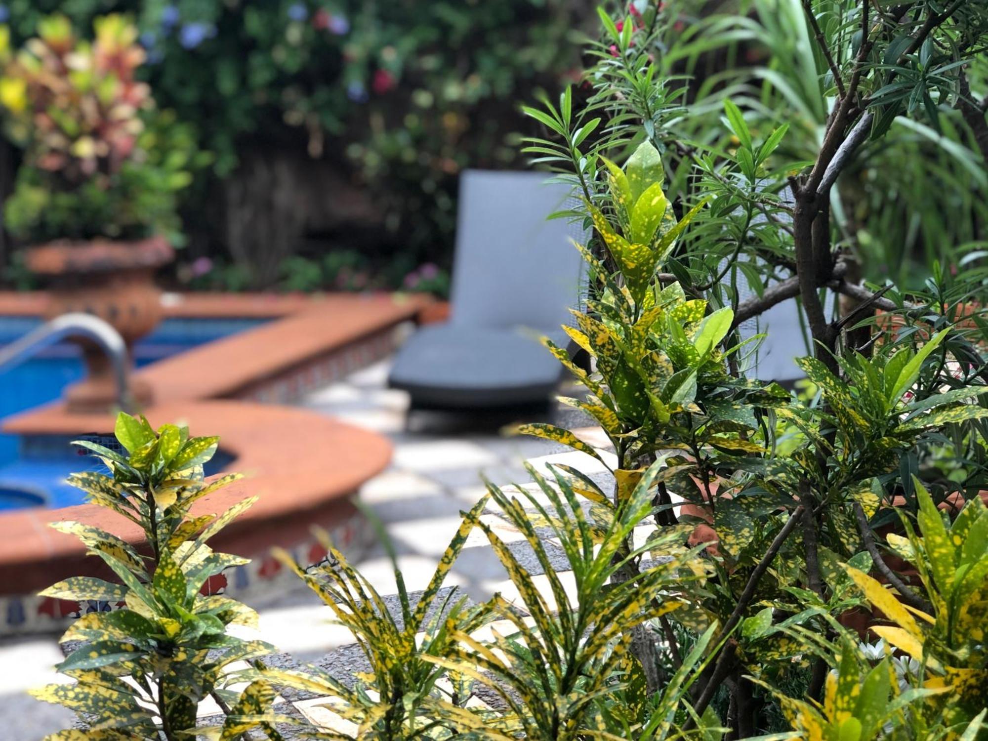 Casa Del Sol Inn Ajijic Bagian luar foto